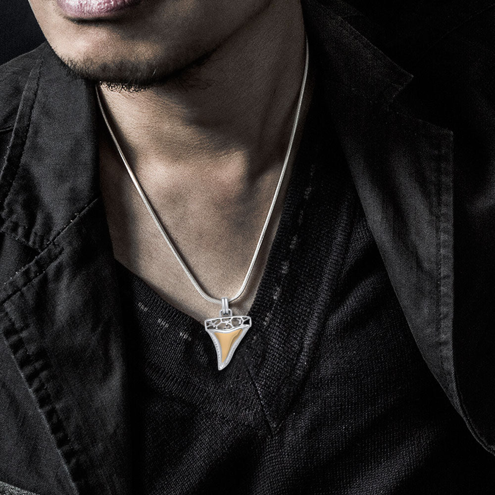 Window to Universe Shark Tooth Silver and Gold Pendant